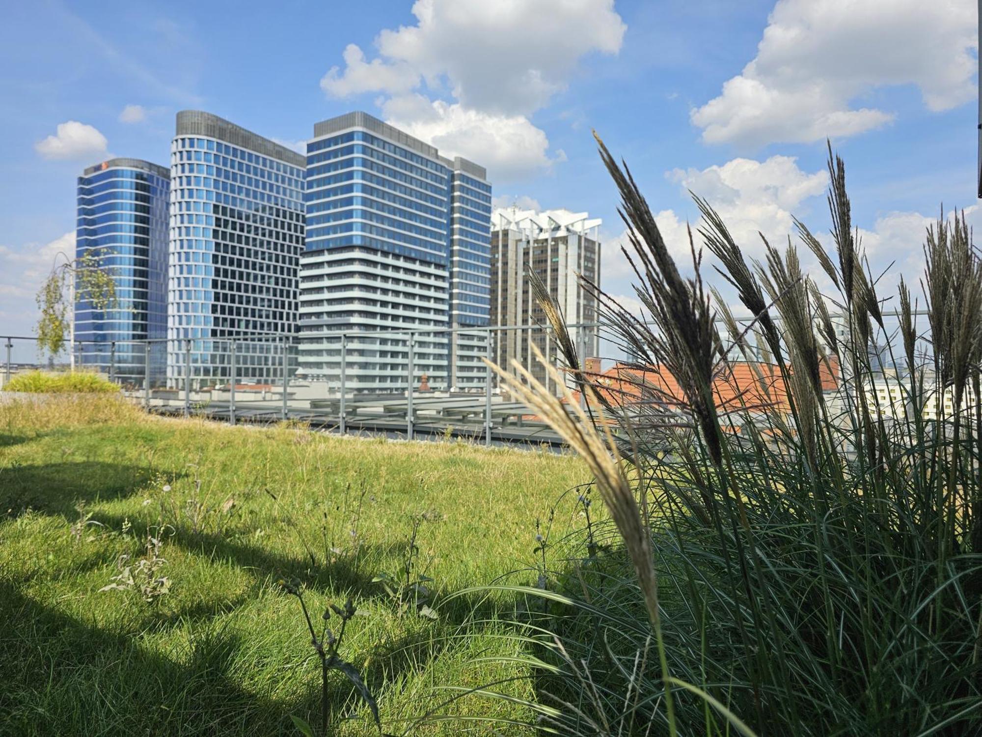 Urban Apartments Premium, Opolska 10 No 67B, Free Garage, Self Check-In Katowice Extérieur photo